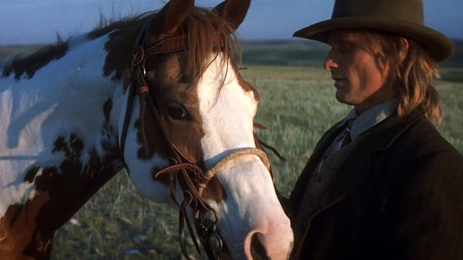 Hidalgo, The Spanish Mustang Horse That Wrote History Animal Spirit